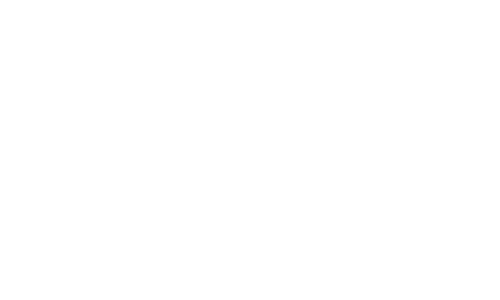 contentdolphins logo